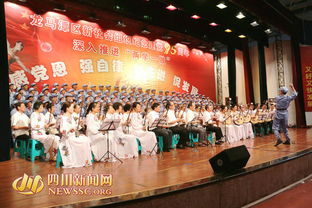 龙马潭区举办“新社会组织 时代新风采”专场文艺演出暨文化艺术交流活动